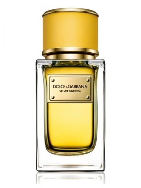 Dolce&Gabbana Velvet Ginestra EDP 150 ml Kadın Parfümü kullananlar yorumlar